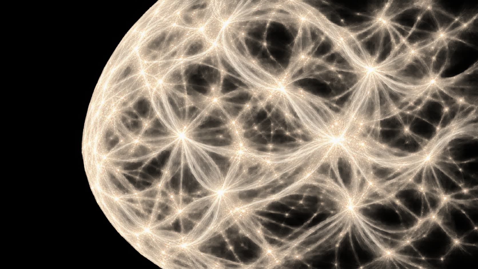 A sphere of interconnecting filaments and luminous nodes